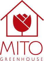 Mito Greenhouse – Flores para eventos en Perú